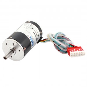 DC 12V 4000RPM Speed 38mm Diameter Low Noise Brushless Motor