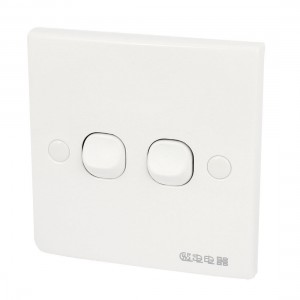 Square Screw Mounted Double Buttons Wall Plate Switch AC 250V 10A
