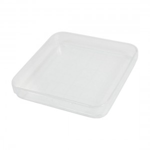Clear Square Shape 10cm x 10cm Polystyrene Integrid Petri Dish