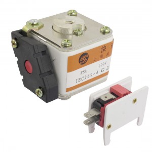 500V 300A Short-circuit Overload Protection Super Rapid Fuse