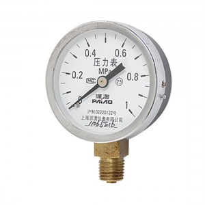 Y-60 Series 0-1MPa Scale Range Air Pressure Gauge New