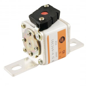 500V 80A White Ceramic Short-circuit Overload Protection Fast Fuse