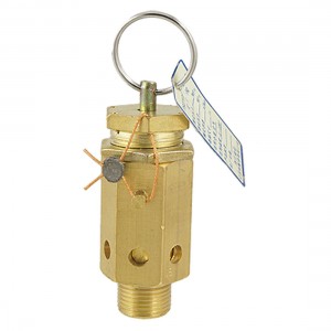 Gold Tone 19/32" Dia Thread -5-120C 15MPa Air Pressure Relief Valve