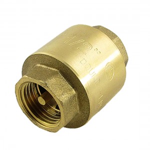 Non Return Vertical Brass Spring Check Valve Size 1/2"