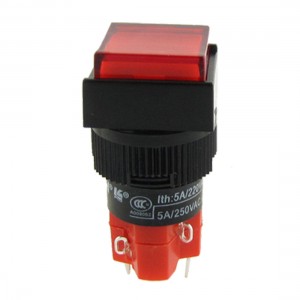 DC 24V Indicator Light AC 250V 5A Push Button Momentary Switch
