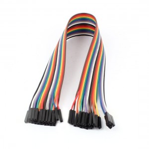 31cm Length 2 54mm 1P 1P Female to Female Jumper Cable for Arduino