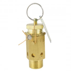 4/5" Dia Thread -5-120C 10MPa Pressure Relief Valve for Air Compressor