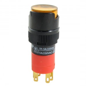 1NO 1NC Contacts Orange Push Button Switch w Lamp DC24V