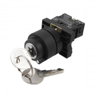 1 NO N/O Normally Open Two 2 Position Rotary Key Lock Select Selector Switch