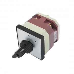 AC 380V DC 220V ON/OFF 2 Position Rotary Cam Changeover Switch LW12-16/C0071.1