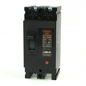 AC 380V 100 Amps 2P 2 Poles Moulded Case Circuit Breaker DZ15-100/290