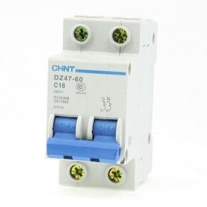 16A 2P Electrical Overload Proetction Mini Circuit Breaker DZ47-63