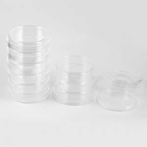 10 Pcs 60mm Diameter Cylinder Shape Clear Plastic Cell Culture Dish