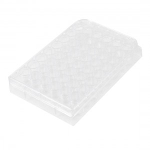 Clear Plastic Rectangle Shape 48 Compartments Cell Culture Plate