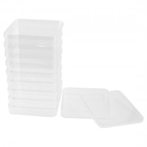 10 Pcs 100mm x 100mm Square Shape Clear Plastic Cell Culture Dish