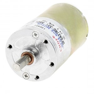 13.14Kg.cm 6mm Shaft Permanent Magnetic Gear Box Motor 100RPM DC 24V