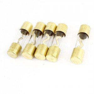 5 x 40A Gold Tone Clear Automotive Truck Car Audio AGU Glass Fuse Tube