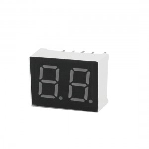 Common Anode 10 Pin 2 Bit 7 Segment Red LED Display Digital Tube 25x19mm
