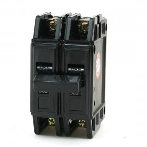 DZ12-63 Plastic Shell Short Circuit Breaker 2P 3000A 63A 220V/380VAC