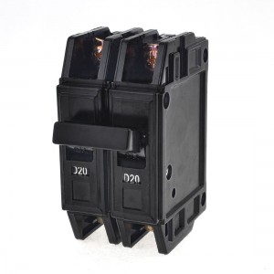 3000A Overload Protection 2Pole Moulded Case Circuit Breaker DZ12-63
