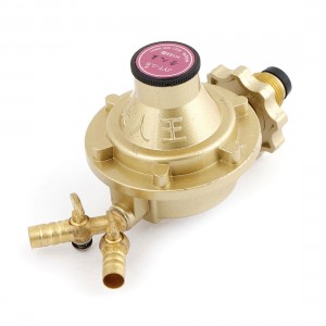 1 Inlet 2 Outlet Bottled Liquefied Compressed Gas Pressure Regulator