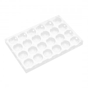 Rectangular Polystyrene 24 Well Tissue Cell Culture Cluster Plate Clear
