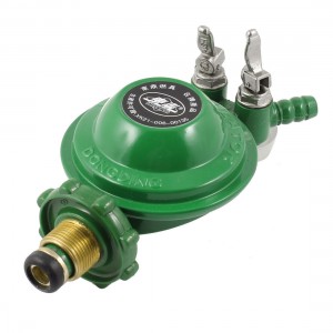 1 Inlet 2 Outlet Liquefied LGP Gas Pressure Regulator Valve Green for Kitchen