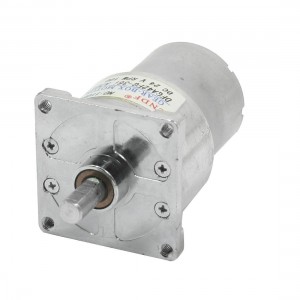 DC24V 100RPM 2Pins Connector 80mm Length Magnetic Gearbox Motor