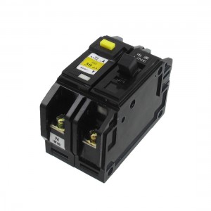 DZ12LE AC 220V/380V 63A 1P+N ELCB Earth Leakage Circuit Breaker