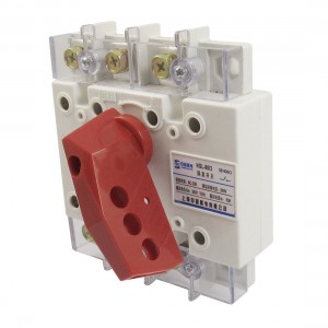 AC 380V 50Hz 80A 2P+E 660V Insulator 35mm Mounting Rail Isolating Switch