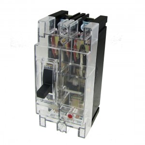 Transparent AC 380V 100A Amps 2P Moulded Case Circuit Breaker Yruog