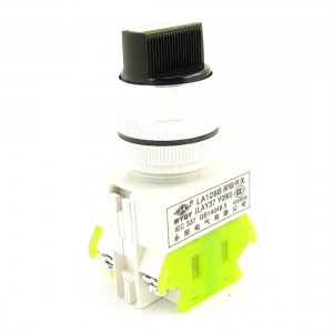 Panel Mounted 3 Position Selector Momentary Pushbutton Switch 660VAC 10A DPST