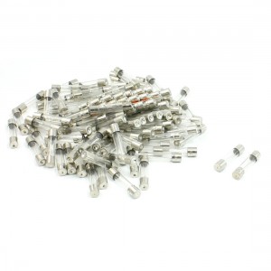 100 Pcs 6mm x 30mm Fast Acting Type Glass Tube Fuses 20A 250V