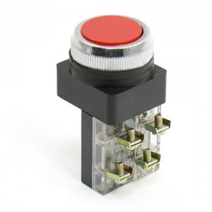 AC 250V 6A NO NC Momentary Push Button Red Round Flat Pushbutton Switch