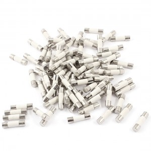 80 Pcs 250V 20A 6mmx30mm Cylindrical Ceramic Tube Fuses Link