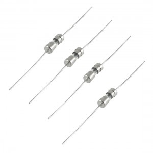 10 x Glass Cartridge Quick Blow Axial Lead Fuse 3.6x10mm 250V 1.6A