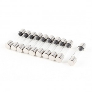 10 Pcs Fast Blow Type Glass Tube Fuses 6x30mm 250V 1Amp