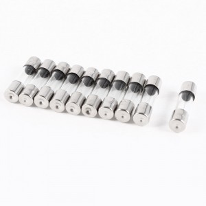 10 Pcs Fast Blow Type Glass Tube Fuses 5x20mm 250V 1A 1000mA