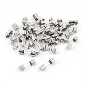40 Pcs 250V 1Amp 5mmx50mm Fast Blow Type Quick Glass Tube Fuses