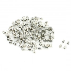 100 Pcs 250V 10A Quick Acting Glass Tube Fuses Fast Blow 5mm x 20mm