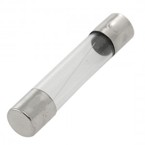 100x Glass Fuse 6x30mm 2A 250V Quick Fast Blow New