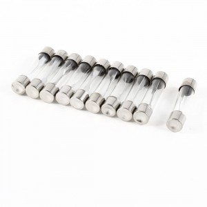 10 Pcs Fast Blow Type Glass Tube Fuses 6x30mm 250V 30A