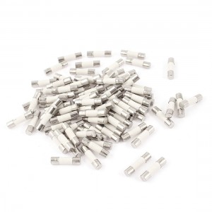 80Pcs 250V 1A 5mmx20mm Cylindrical Ceramic Tube Fuses Link