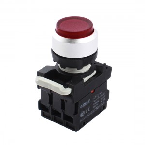 AC 220V 22mm Thread DPST Momentary Red Pilot Lamp Plastic Push Button Switch