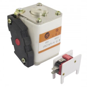 800V 10A Ceramic Insulator Protection Super Rapid Fuse Iolcv