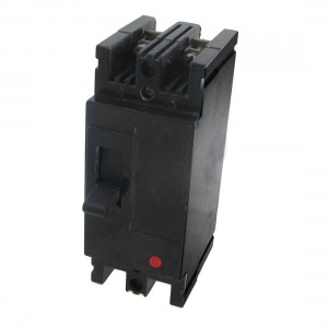 AC 380V 20A Amps 2P Moulded Case Circuit Breaker DZ15 40 290