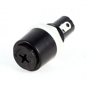 Panel Mount Crosshead Screw Cap Lock Fuse Holder 250V 10A 5mmx20mm