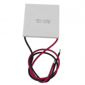 2 x TEC1 12706 12V 60W Heatsink Thermoelectric Cooler Cooling Peltier Plate Modu