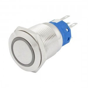 19mm 24VDC Green Ring LED Momentary Push Button Switch 1NO 1NC