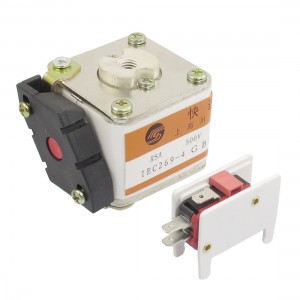 500V 100A Protective Ceramic Insulator Super Rapid Fuse